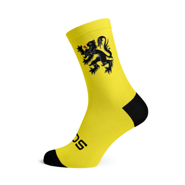 New Limited Flemish Lion Socks